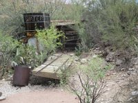 IMG 0537