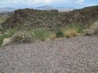 IMG 0545