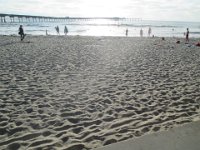 IMG 0459