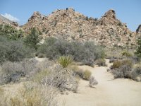IMG 0366